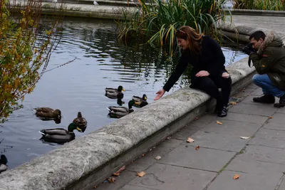 DSC_0548 (Large).JPG